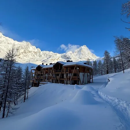 Flora Alpina Experience - 