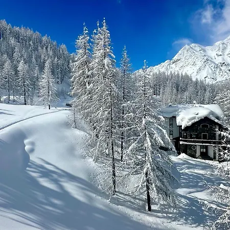 Flora Alpina Experience - 