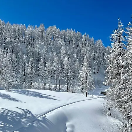 Appartement Flora Alpina Experience - 