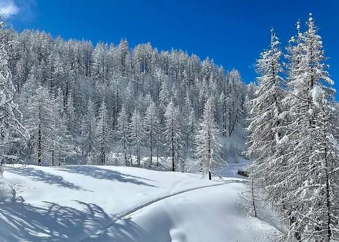 アパート Flora Alpina Experience - 